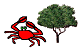 Crabtrees School Of Motoring listing image